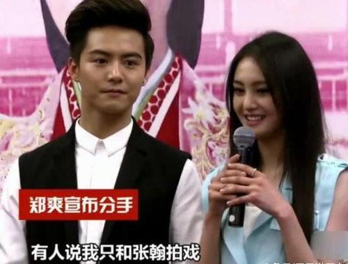 爆料娱乐圈张翰小说,揭秘娱乐圈背后的爱恨情仇  第1张